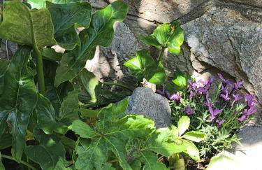 Casa Bella - Foto 20