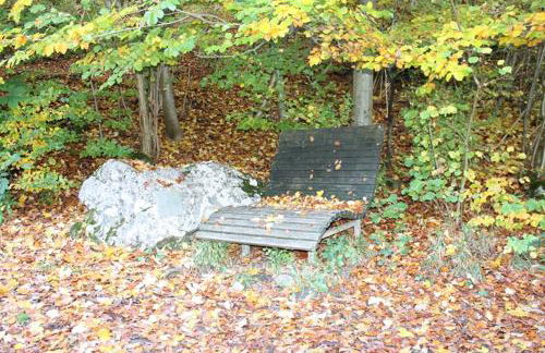 Fewo Waldfeeling - Foto 24