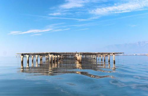 LA CASA DE LA OLIVERA Luxurious house - Foto 72