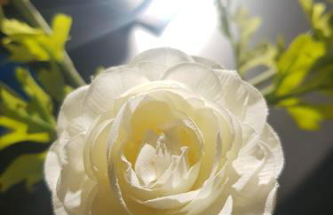 El BALCÓN de PILAR - Foto 13