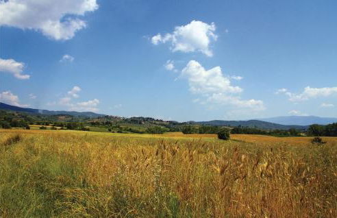 Villa Caterina - Foto 39