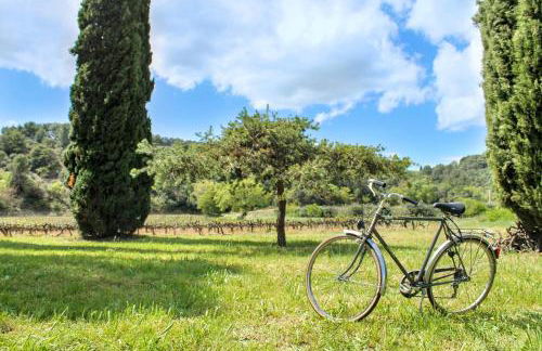 Maison de charme à Nyons au milieu des vignes - Foto 35