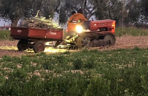 Casale Kintsugi - Foto 50