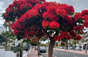 Apartament Yucca Fanabe - Photo 20