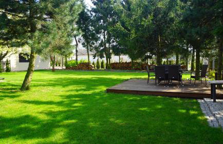 Świerkowe Zacisze Nałęczów - Foto 21