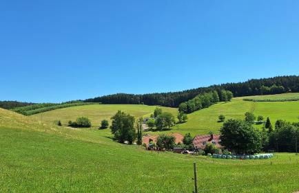 Ferienwohnung Landliebe - Foto 33