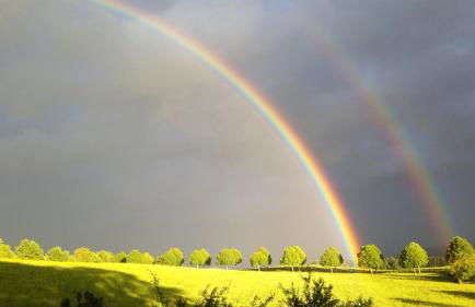 Ferienwohnung Elisabeth - Foto 25
