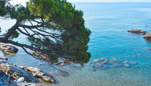 La Terrazza sul Mare - Foto 4