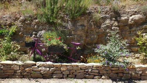 Gîte dans Mas provençal ,havre de paix - Foto 5