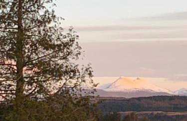 Tawny Owl Pod with Hot Tub - Foto 43