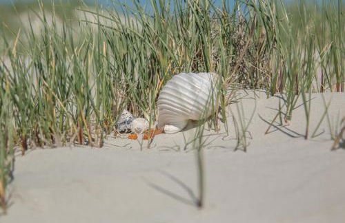 Appartement Bilbao - Foto 29