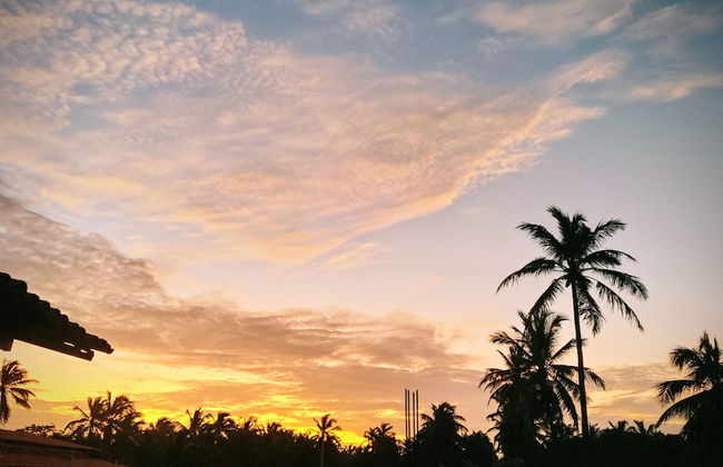 Joais do Nordeste - Foto 41