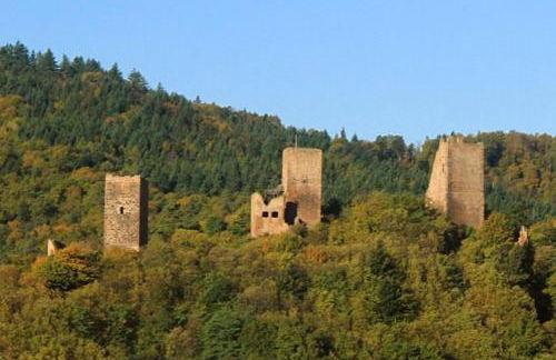 Fleur de Vigne - Foto 43