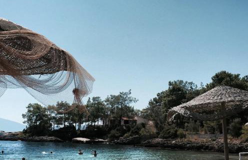 Alexander's - Foto 23