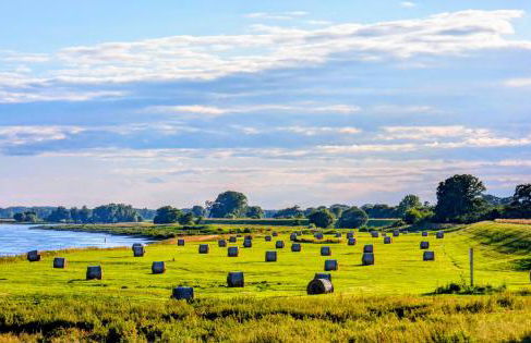 FeWo Elbtalaue - Foto 1