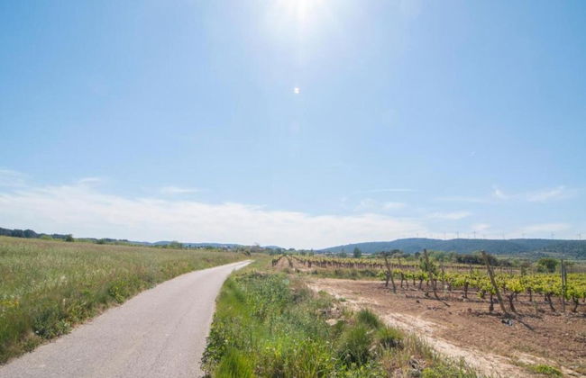 Modern Comfort in Minervois - Photo 27