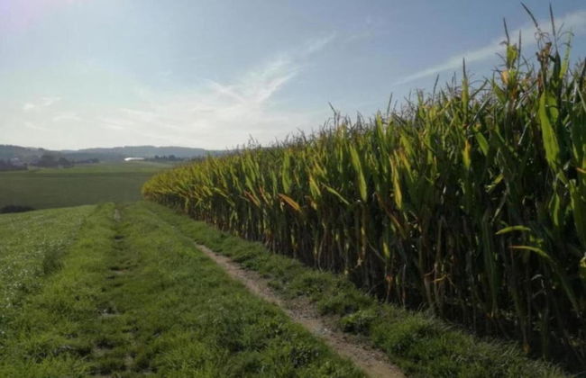 Gorgeous Holiday Home in Altenfeld Thuringia - Foto 76