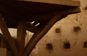 Domaine de la Brette - Photo 72