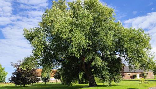 Beau soleil - Foto 2