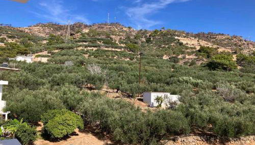 Villa Rania - Foto 5