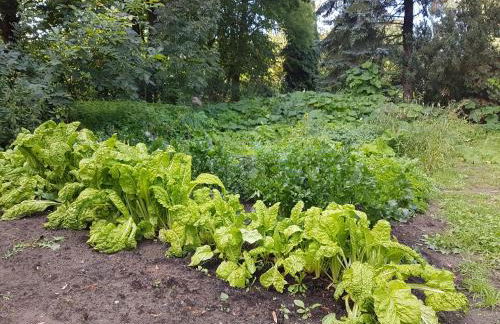 Doppelhaushälfte Nordwind vom Naturhof Usedom - Foto 41