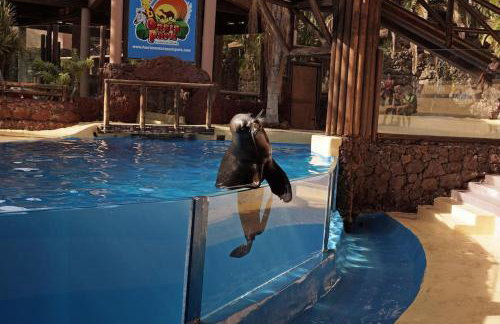 Apartment Flat Piatto Wohnung Marianne Corralejo - Photo 38