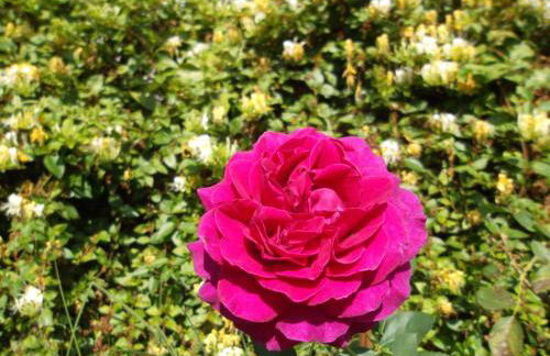 Les Trois Croix - Foto 50