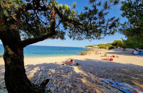 Apartman Kristina - Photo 34