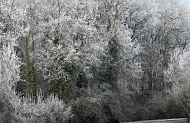 Le coteau de l'orme - Foto 45