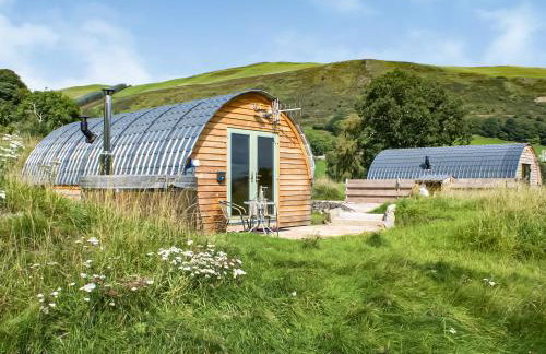 Barcud Coch - Uk44539 - Foto 30