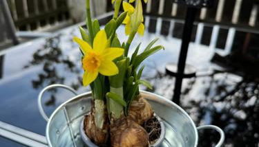 Wohlfühloase Brombachsee - Foto 3