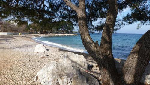 Apartman Helen - Foto 3