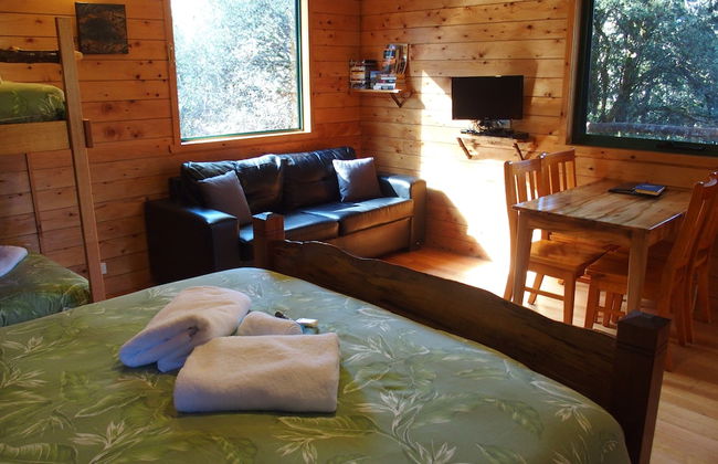 Cradle Highlander - Foto 10