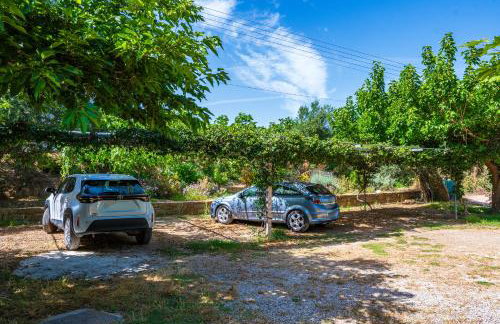 Cavo Gallo - Foto 23