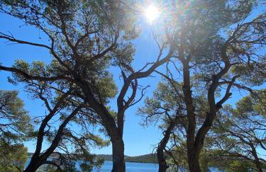 Apartman S&D Rogoznica - Photo 29