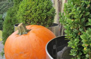 Haus Sonnenblick - Foto 2