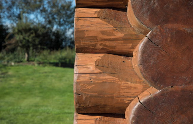 Traditional Scandinavian/north American Log Home - Foto 26