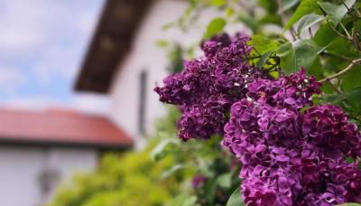 Architekten-Villa, moderne 220qm, 4 Schlafzimmer, Garten - Foto 3, Garden, Garden view