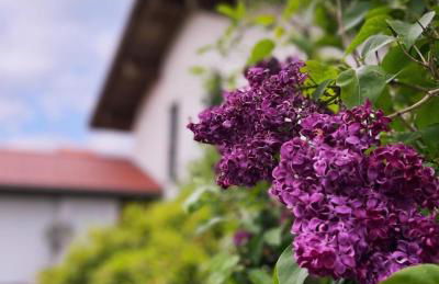 Architekten-Villa, moderne 220qm, 4 Schlafzimmer, Garten - Foto 3