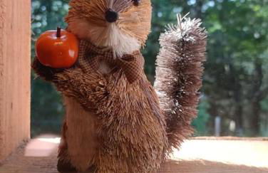 Les Étoiles de Bevy Chalet insolite Love Room - Foto 16