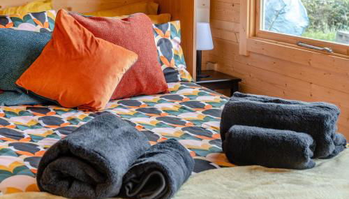 1 Bed in Cilycwm oc-t29297 - Foto 5, Other