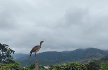 Chalé Pingo de Ouro - Foto 46