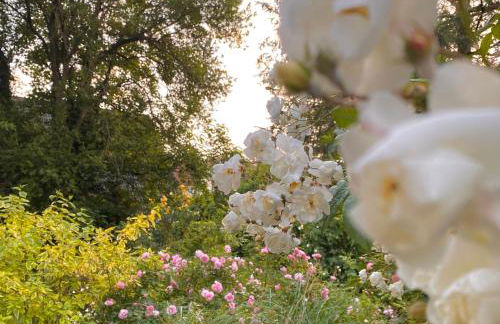 Gronocottage - Foto 43