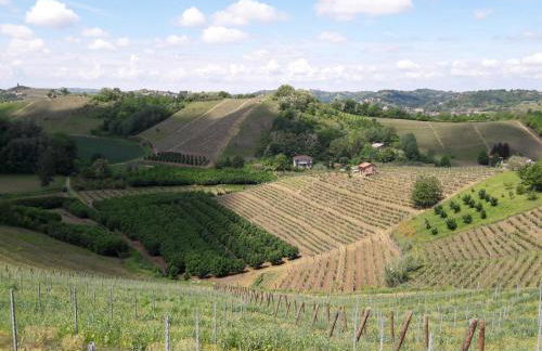 Corte dell'Uva - Foto 79