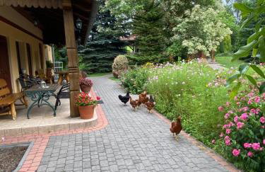 Agroturystyka Pod Podkową - Photo 34