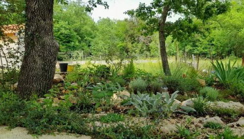 Apartment & Room Danijel - Foto 5, Garden view