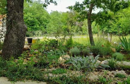 Apartment & Room Danijel - Foto 5