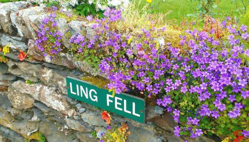 Ling Fell Cottage - Foto 2