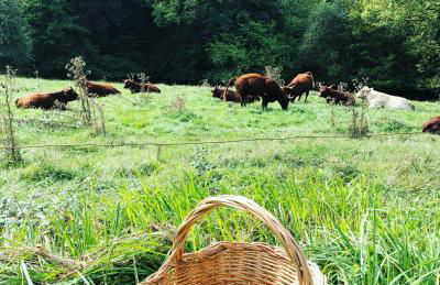 Gîte Tanagra : Maison avec piscine et vue exceptionnelle - Foto 60