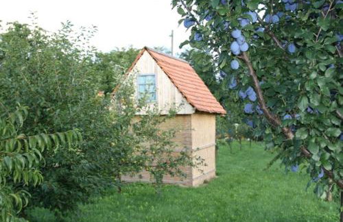 Seoski Turiziam Larva - Photo 36